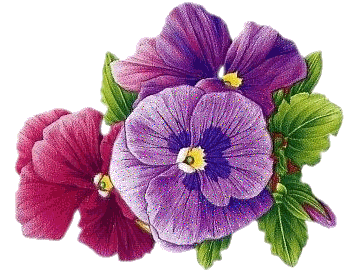 Интересные факты о цветах Animashki-105