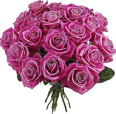 большой букет розовых роз