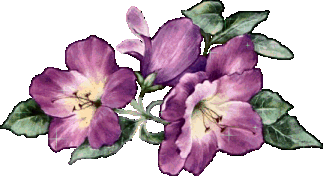 лиловые цветы
